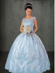 Discount Amy Lee Quinceanera Dresses Style 5165