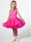 Discount Wholesale Lovely Ball gown Scoop Short Flower Girl Dresses Style UF1057