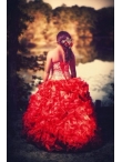 Discount Luxurious Ball Gown Red Strapless Quinceanera Dress